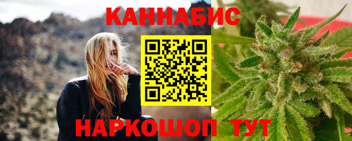 Бошки Шишки планчик Химки